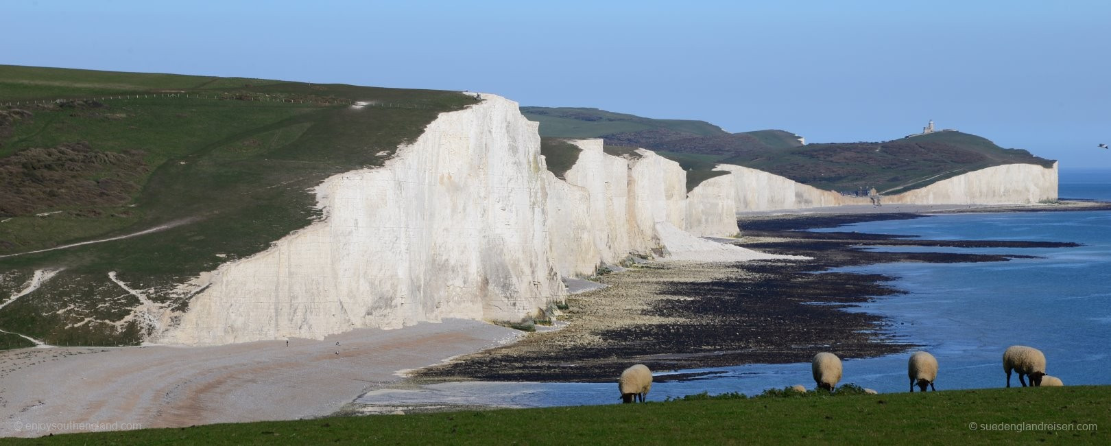 The white chalk cliffs of the Seven Sisters