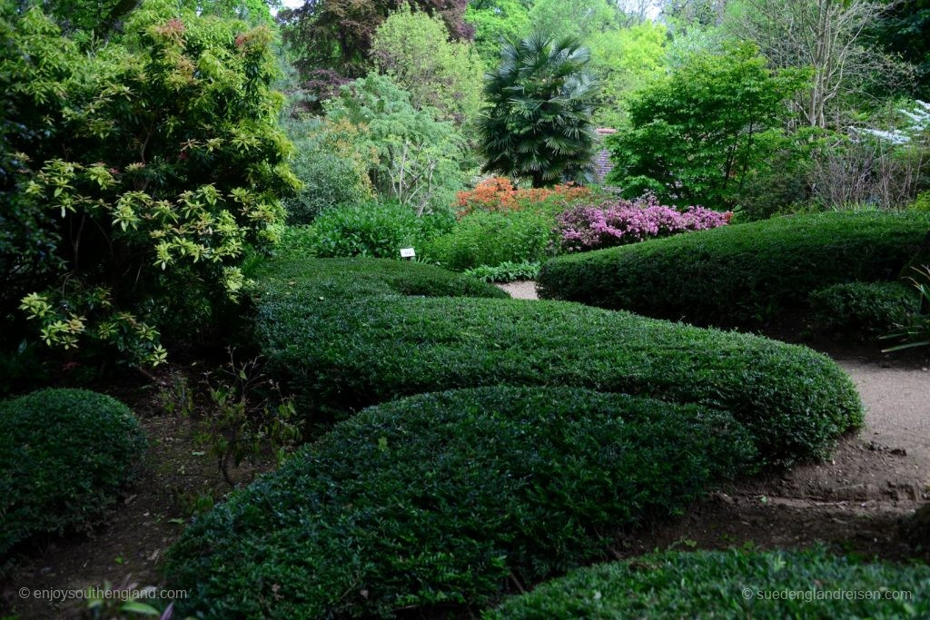 Impressions of the Subtropical Garden in Abbotsbury