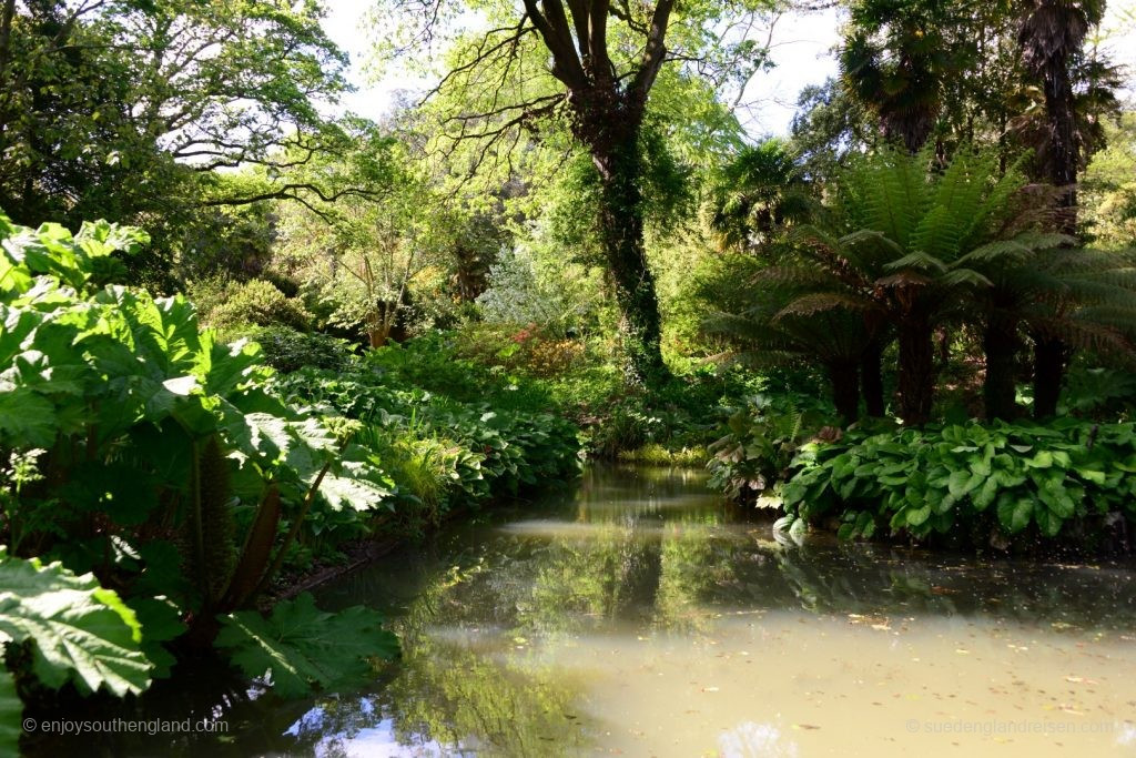 Impressions of the Subtropical Garden in Abbotsbury