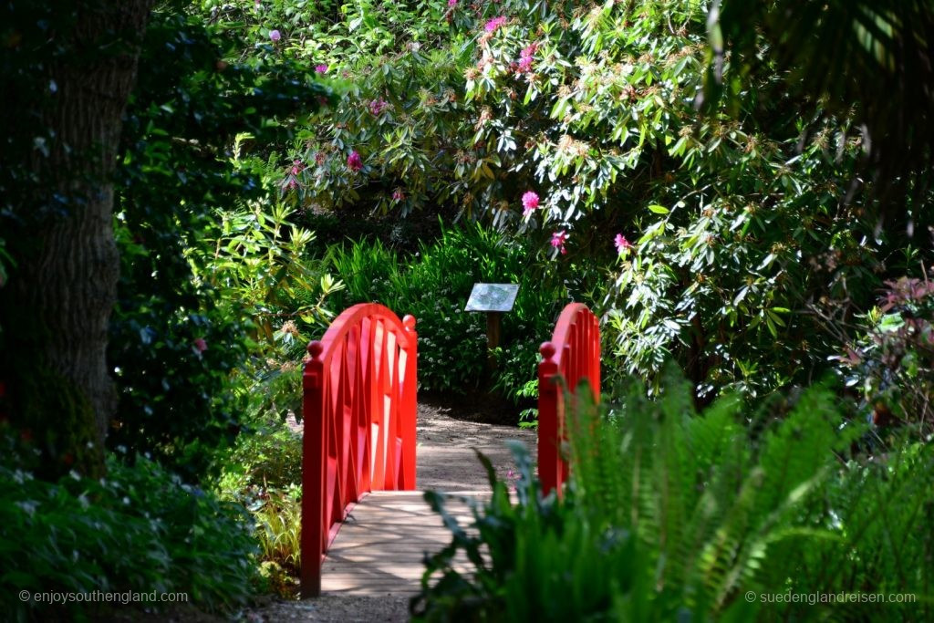 Impressions of the Subtropical Garden in Abbotsbury
