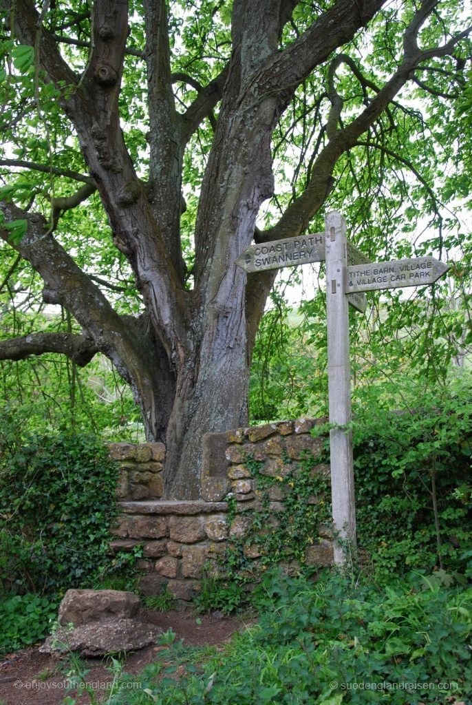 Hiking trail near Abbotsbury in Dorset
