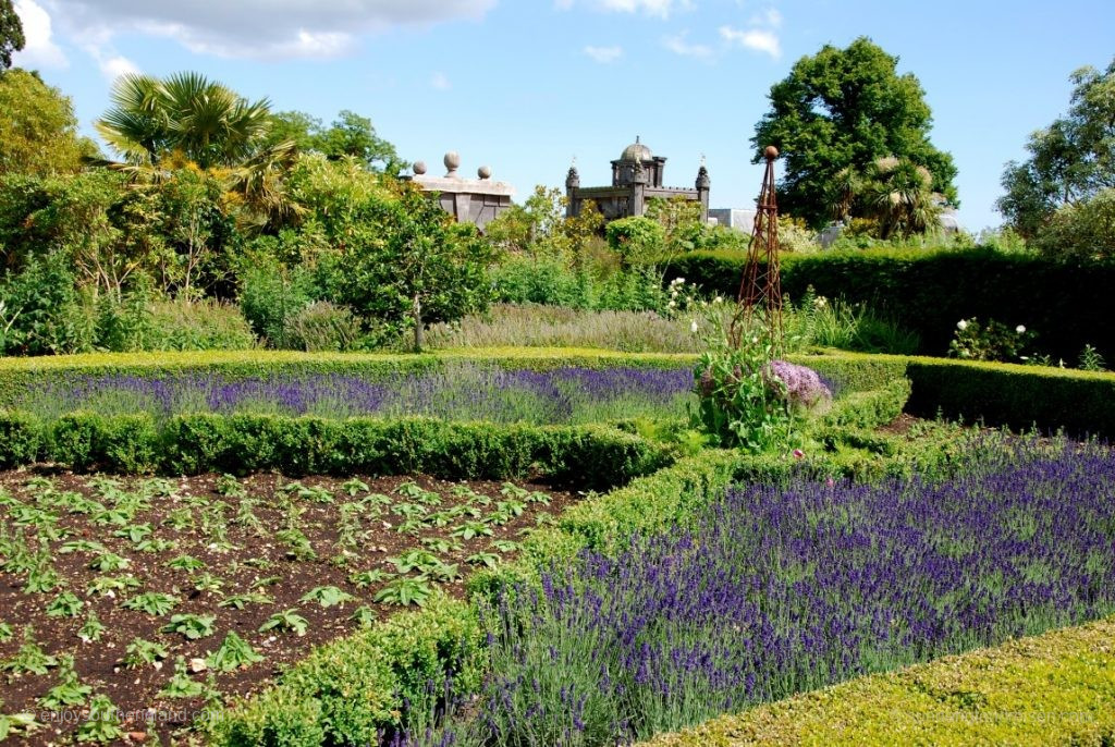 Arundel Castle Garden