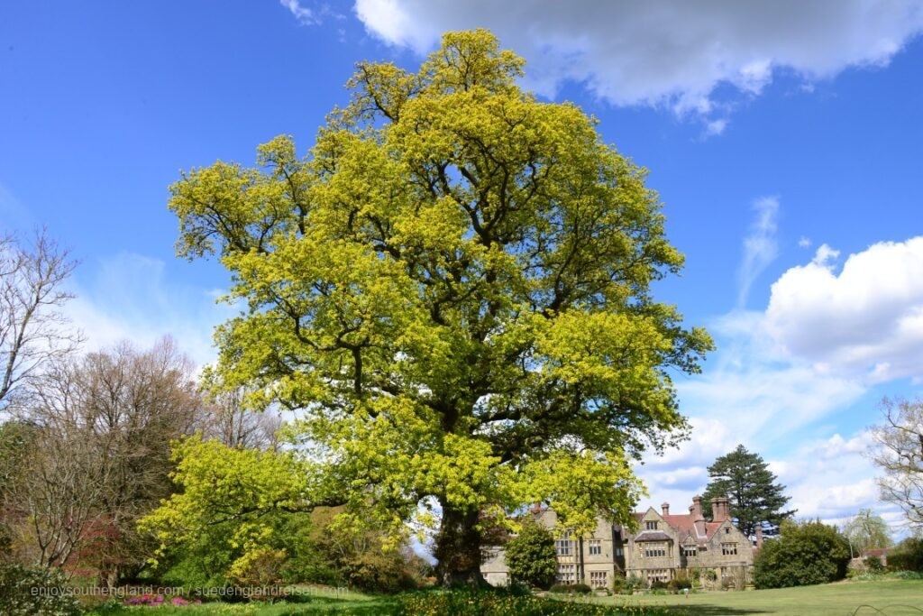 Magnificent: Borde Hill Garden in Wet Sussex