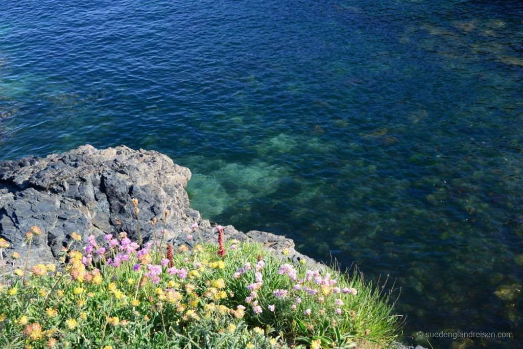 Impressions of Cadgwith (Cornwall)