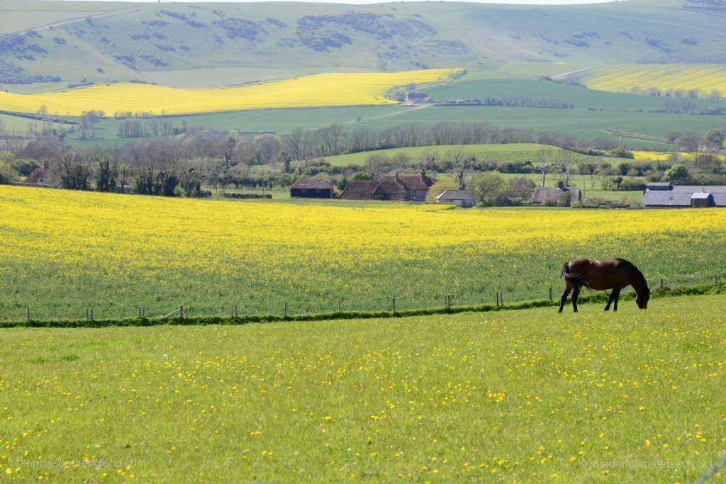 Cuckmere Valley in East Sussex