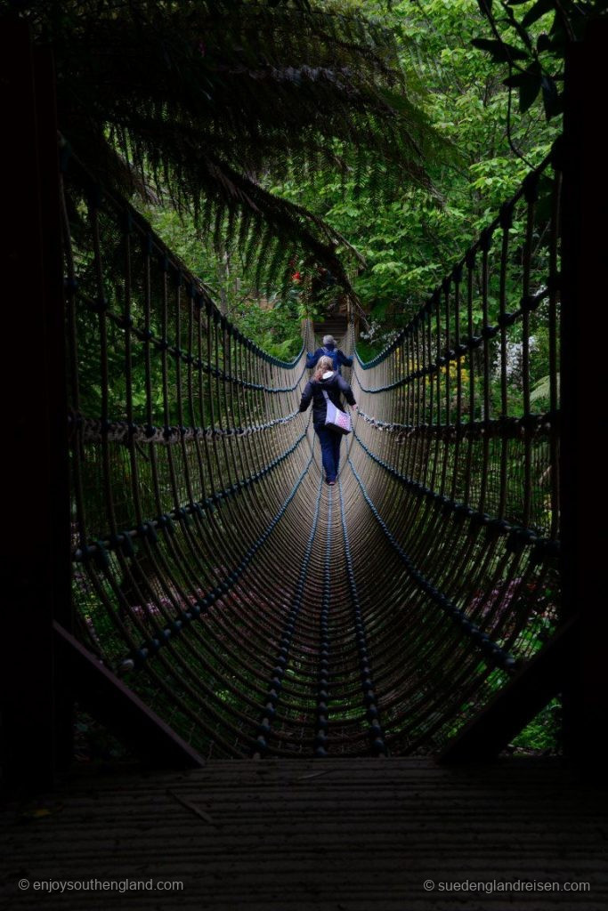 Crossing the rope bridge in the Lost Gardens of Heligan