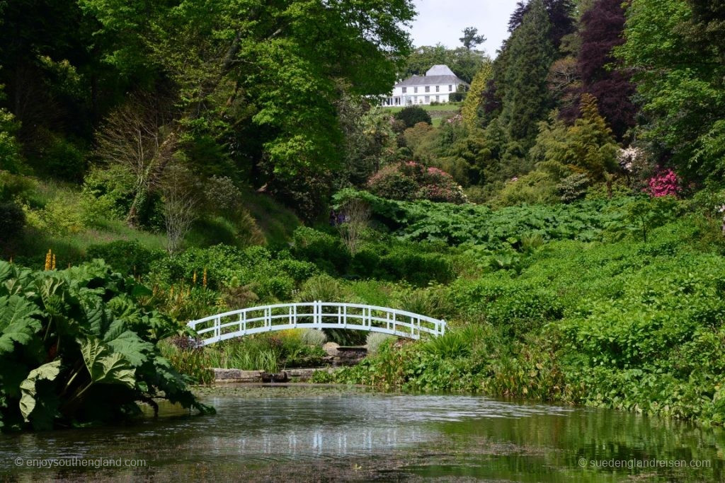 Typical valley in the two gardens (here: Trebah)