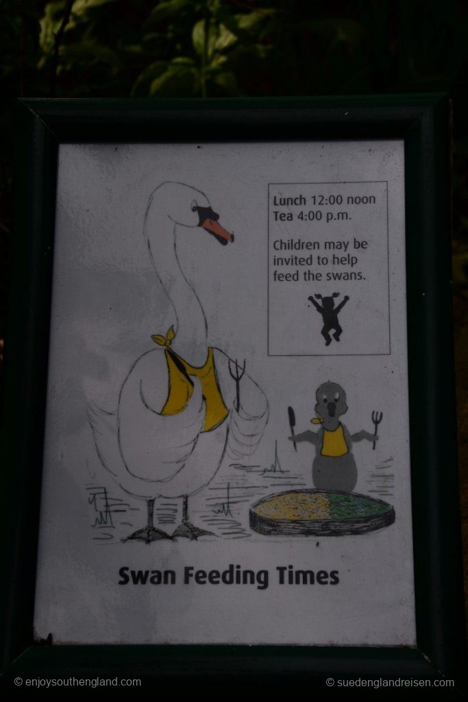 Feeding twice a day