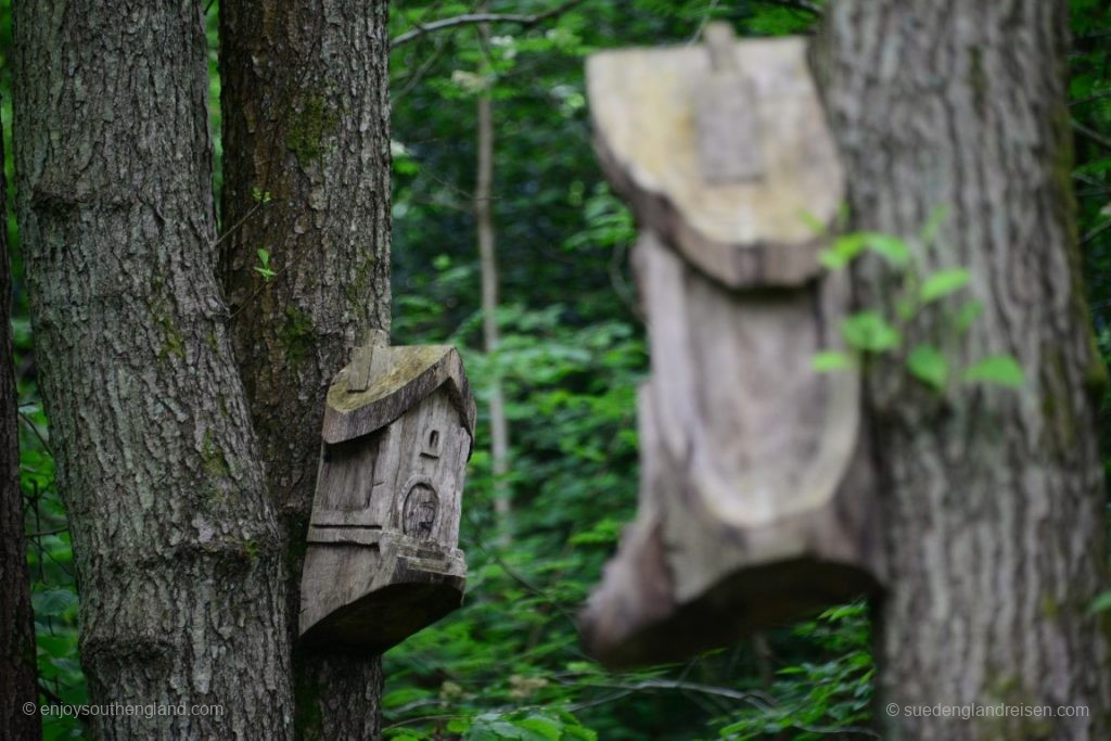Birdhouses at Winkworth Arboretum