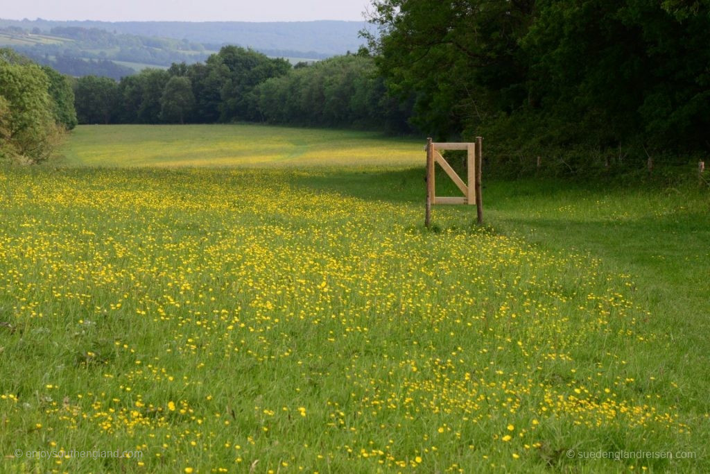 The beautiful path is wonderfully varied. Sometimes there are even gates that you do not really need. 