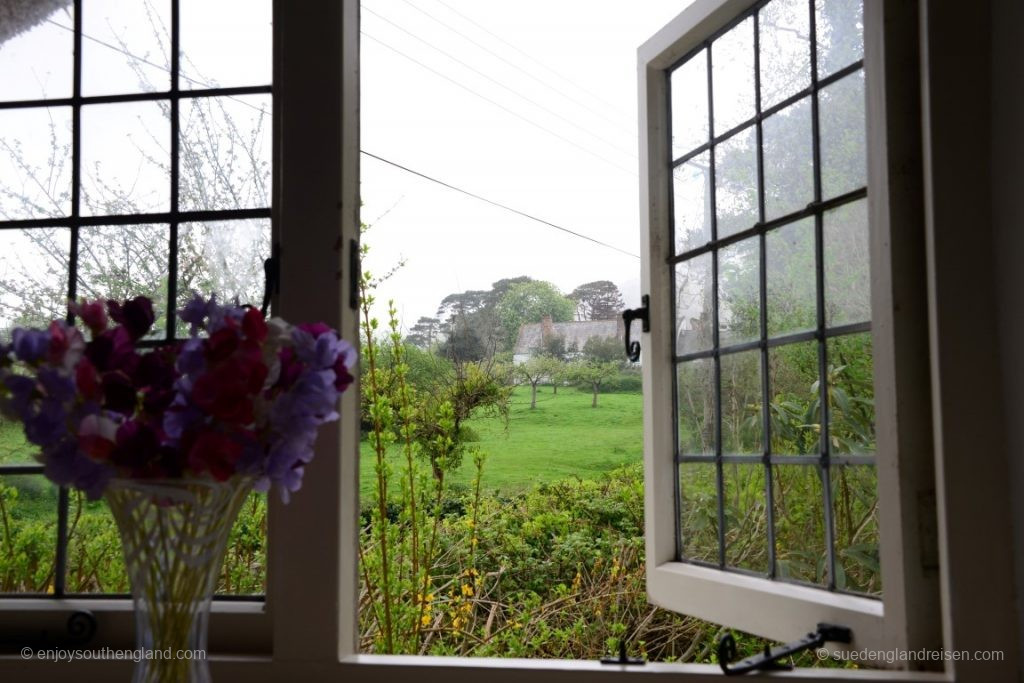 The view from our bedroom window into a foggy Exmoor