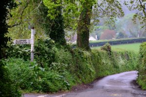 narrow road in Exmoor (Somerset/Devon)