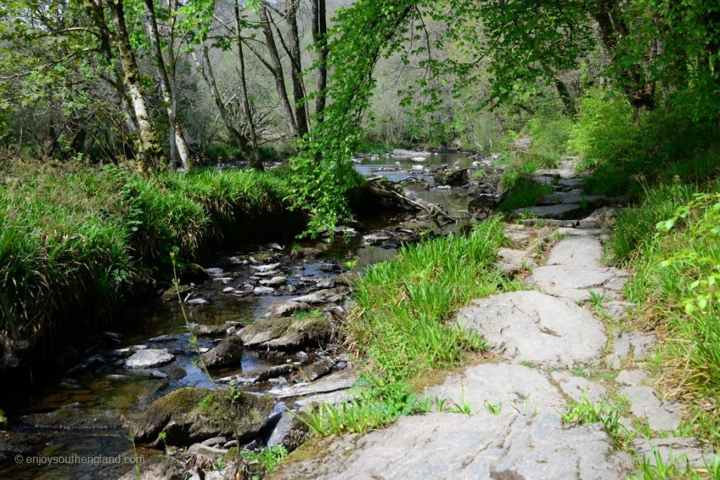 The return walk along the River Barle is just as beautiful