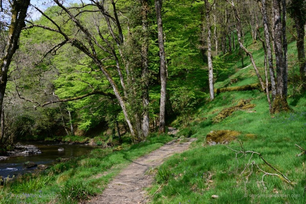 Our walk along the River Barle