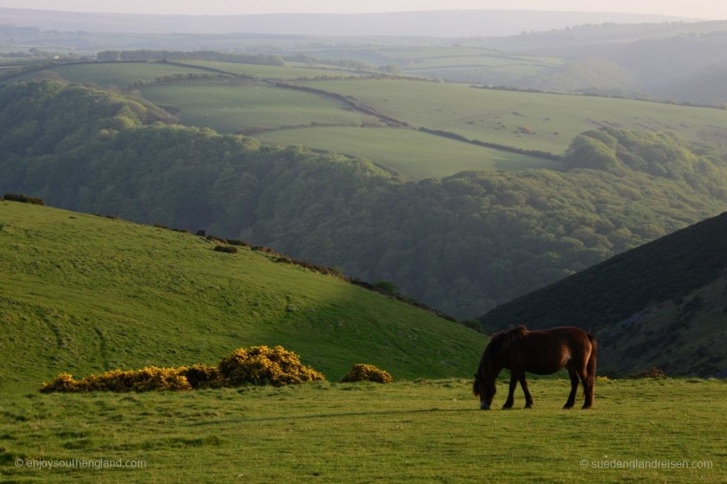 Pure tranquillity in magnificent scenery