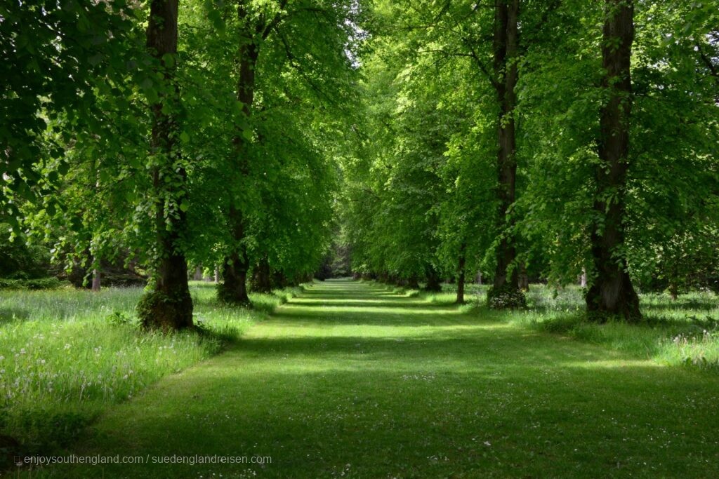 Westonbirt Arboretum in Gloucestershire (England)