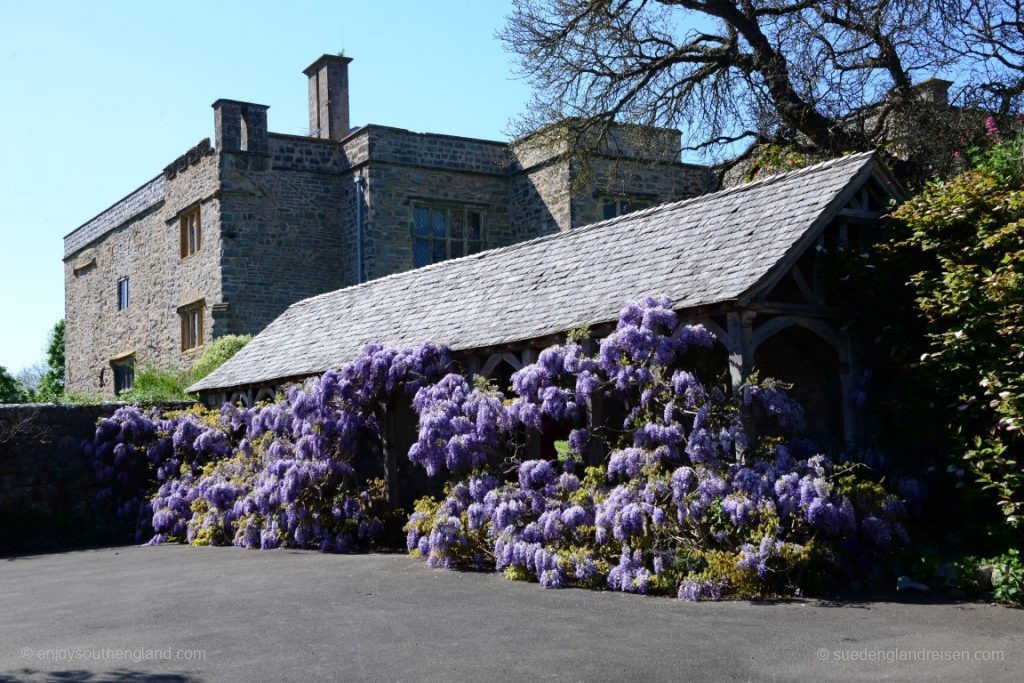 Court House Garden – impressive, isn't it?