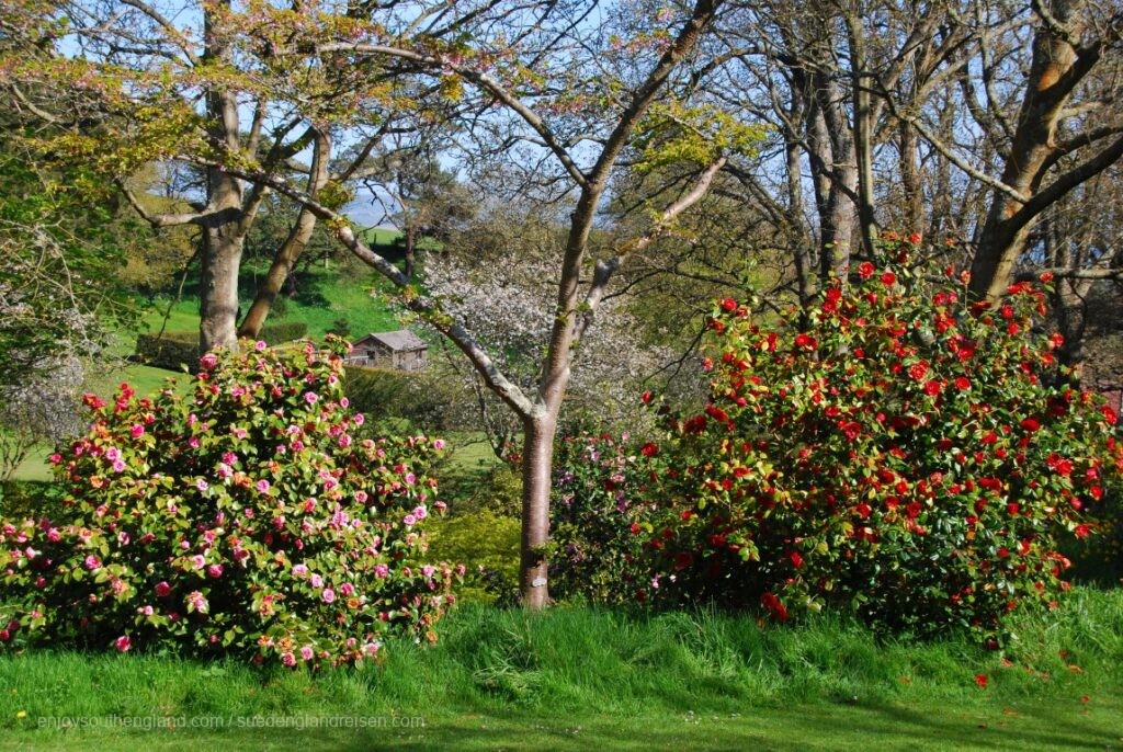Mattistone Manor Garden on the Isle of Wight