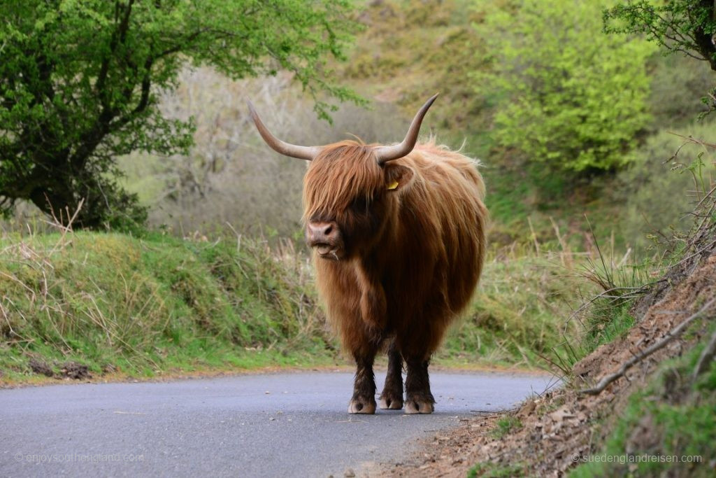 sometimes with rather unusual encounters
