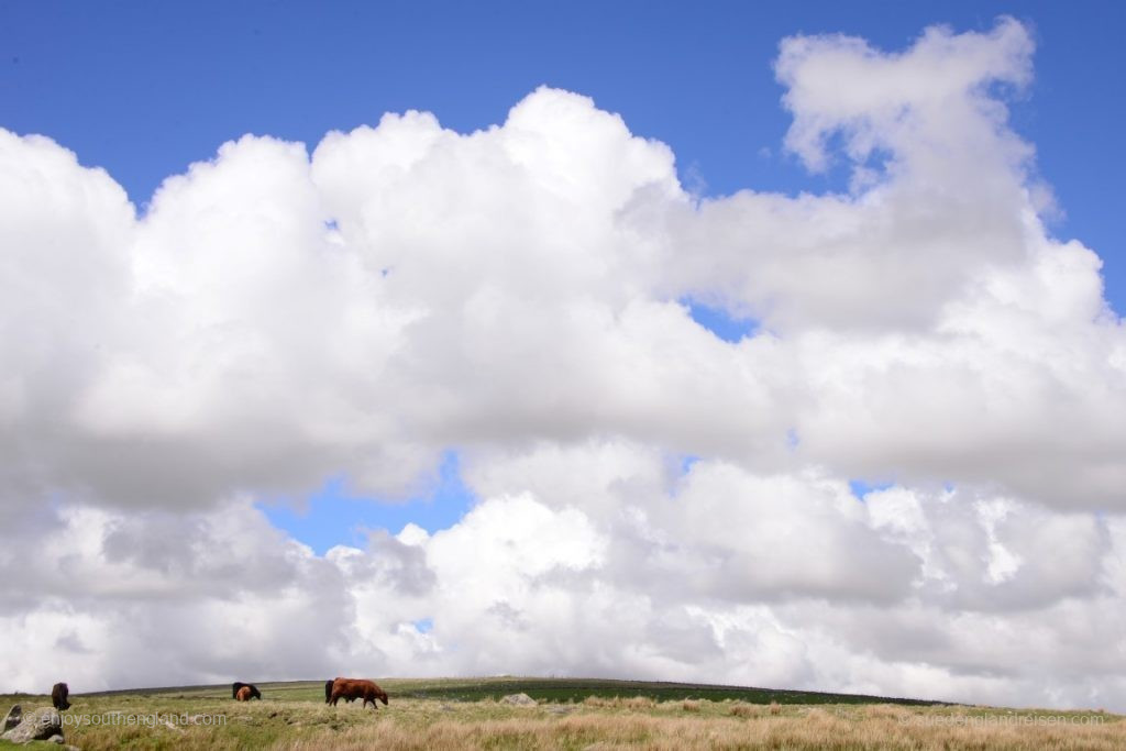 Atmosphere in Dartmoor