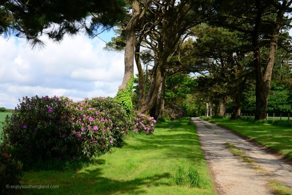 Approach to Bodrean Manor Farm