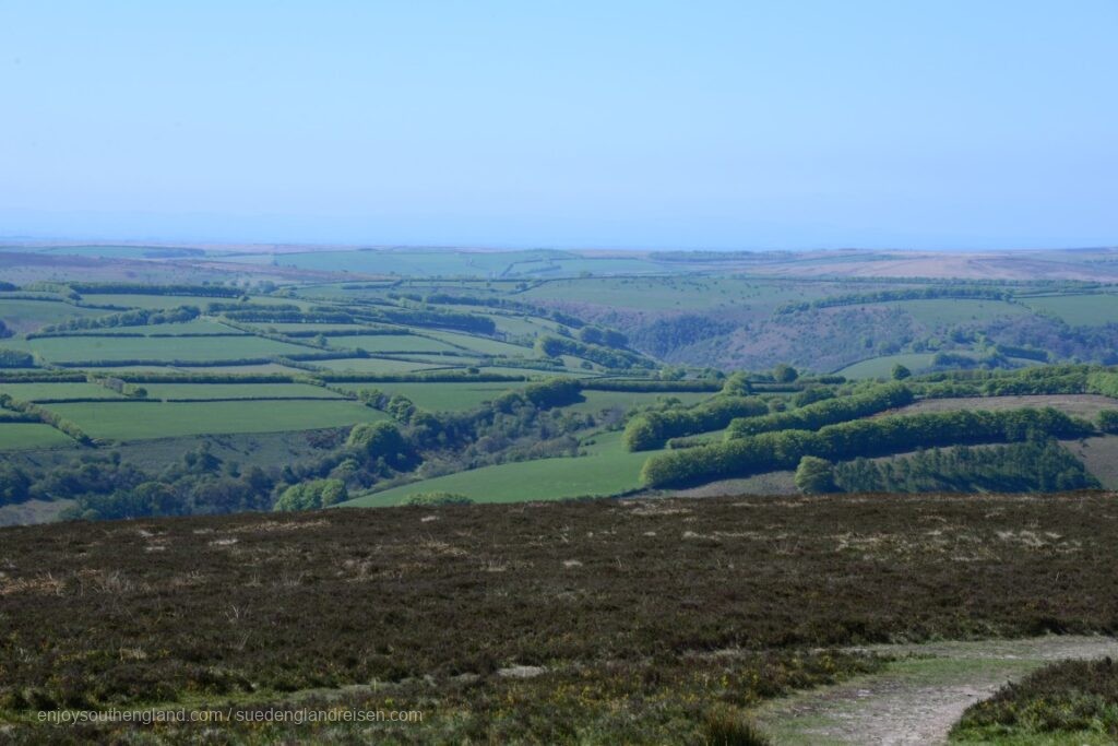 View from Duncery Beacon (Somerset, England) into Exmoor