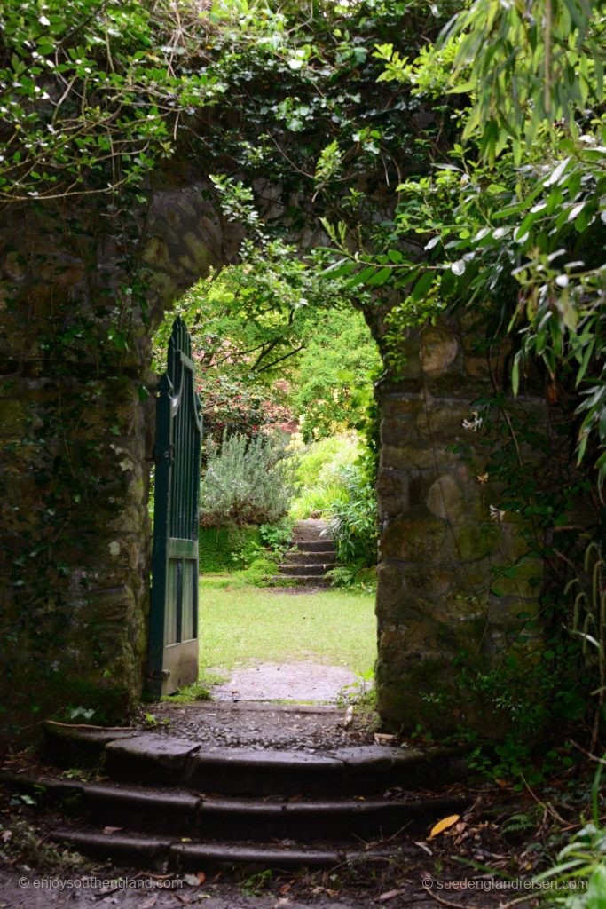 This is also in Enys Gardens in Cornwall
