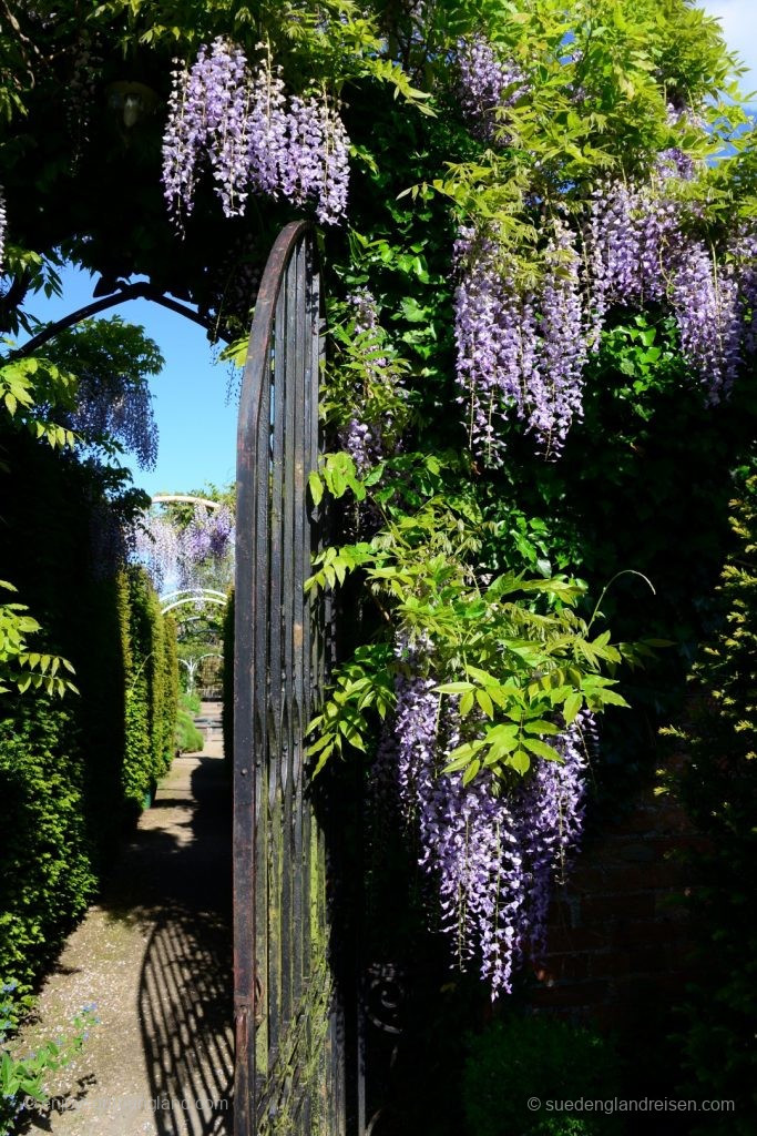 Abbey House Gardens – in the formal garden