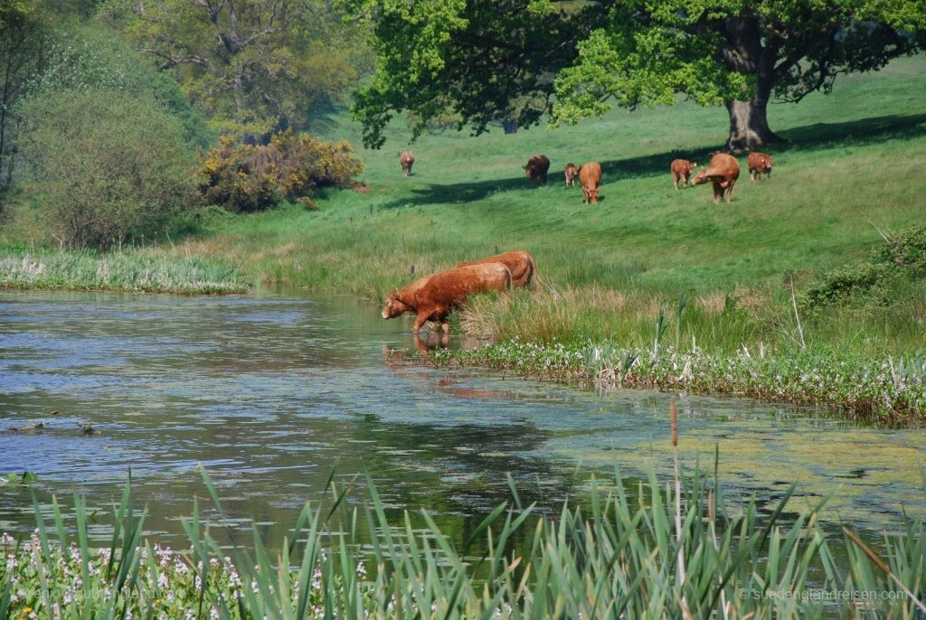 This is also part of Stourhead Country Park