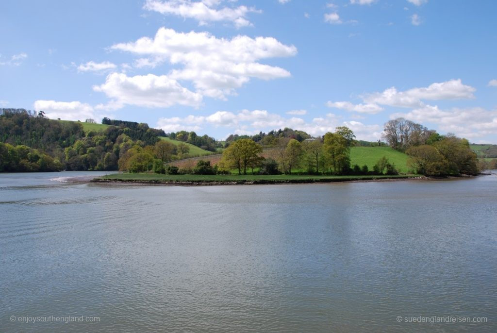 In the curve of the river around Sharpham Vineyard – where you can also find home-made Devonshire cheese