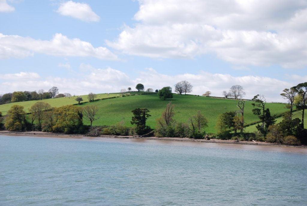 Lots of scenery along the River Dart on our way to Totnes