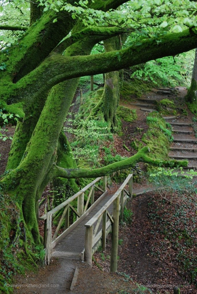 Trail through Lydford Gorge via steps and narrow pathse