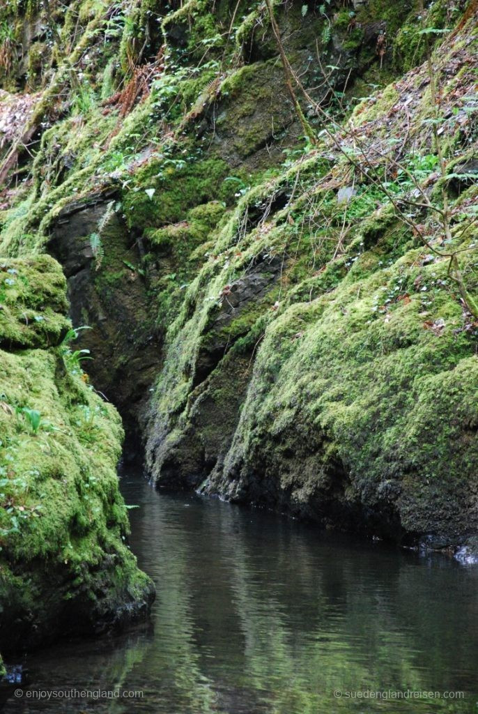 In Lydford Gorge