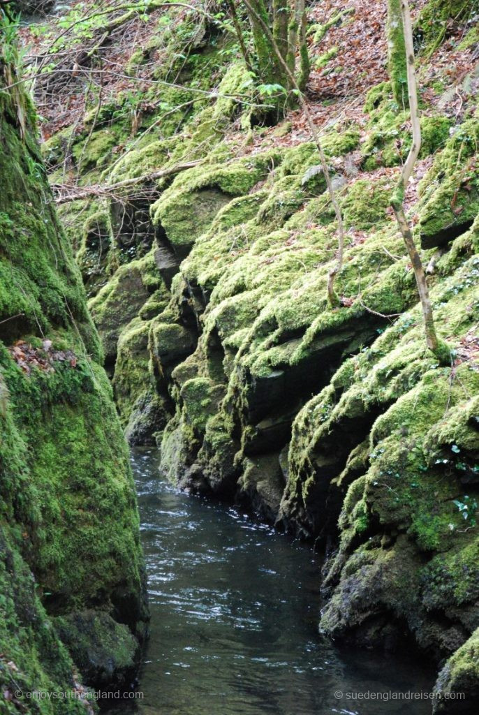 In Lydford Gorge