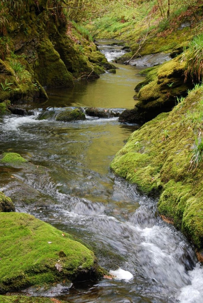 In Lydford Gorge