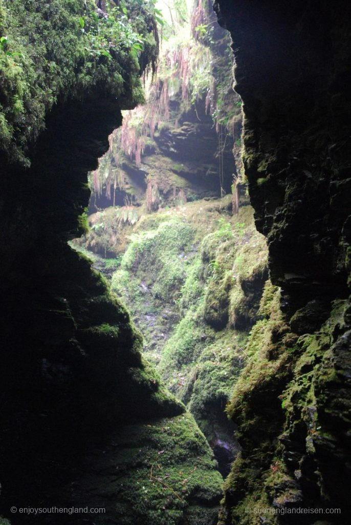 In Lydford Gorge