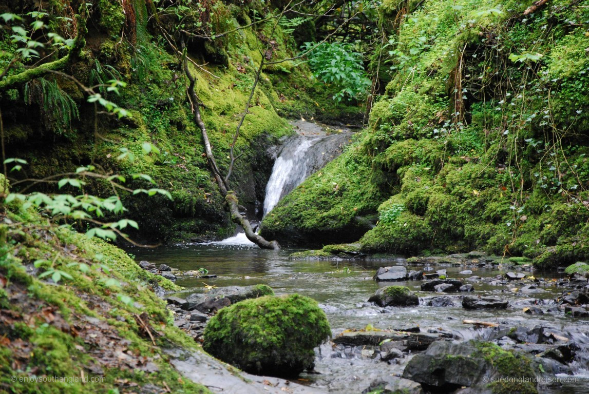 In Lydford Gorge