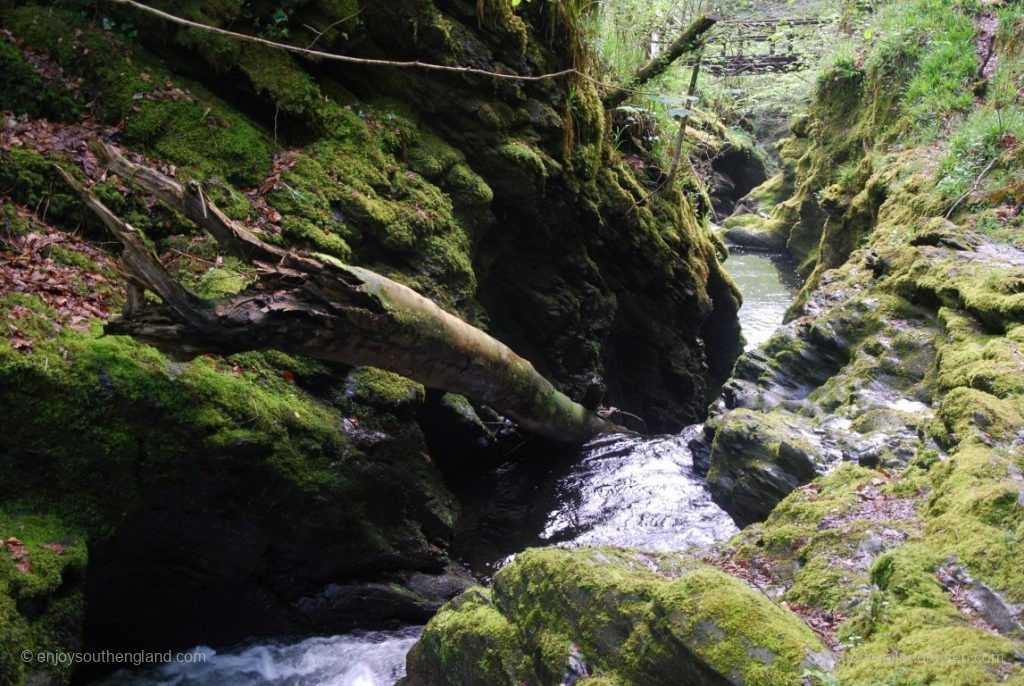 In Lydford Gorge