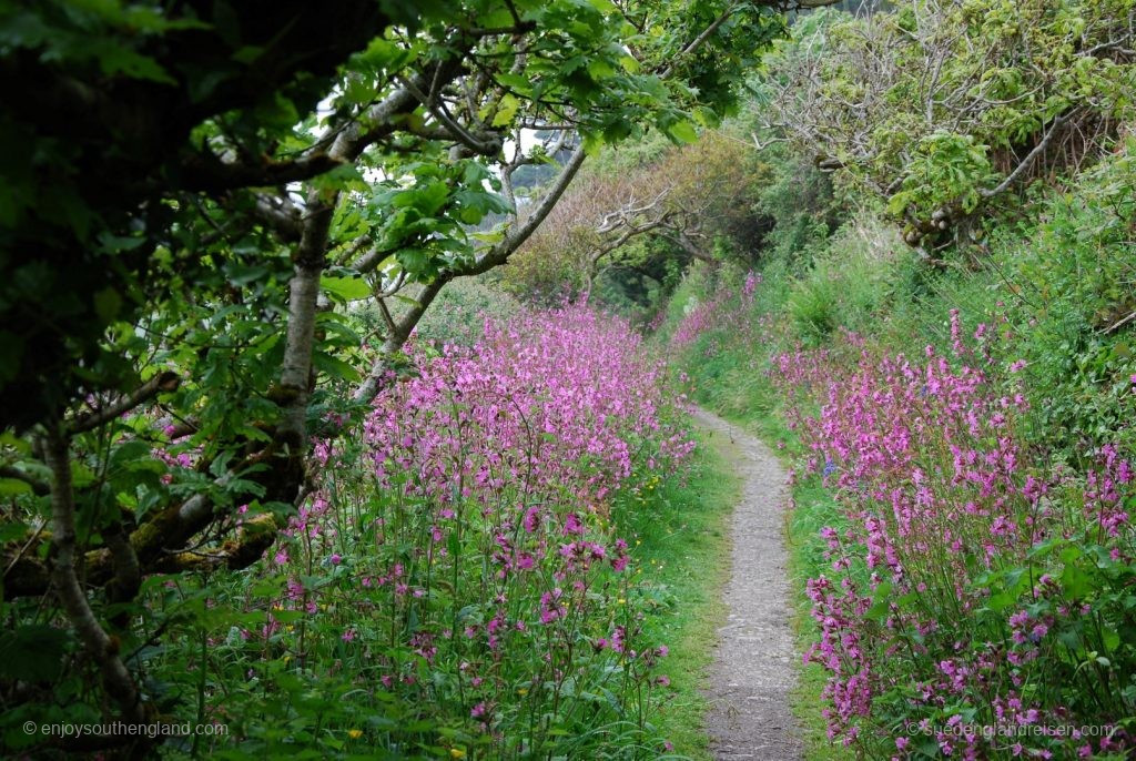 Coastal path on The Roseland Peninsula in spring