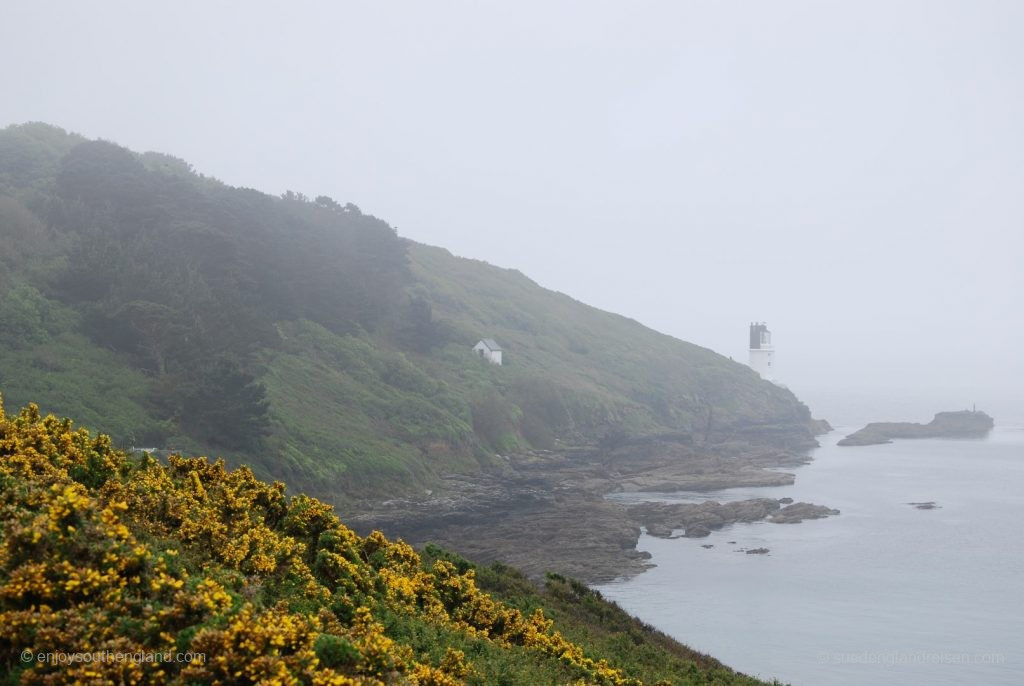 Roseland Peninsula in fog with blooming gorse