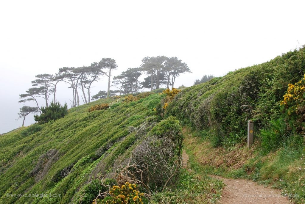 Coastal path on The Roseland Peninsula in the fog