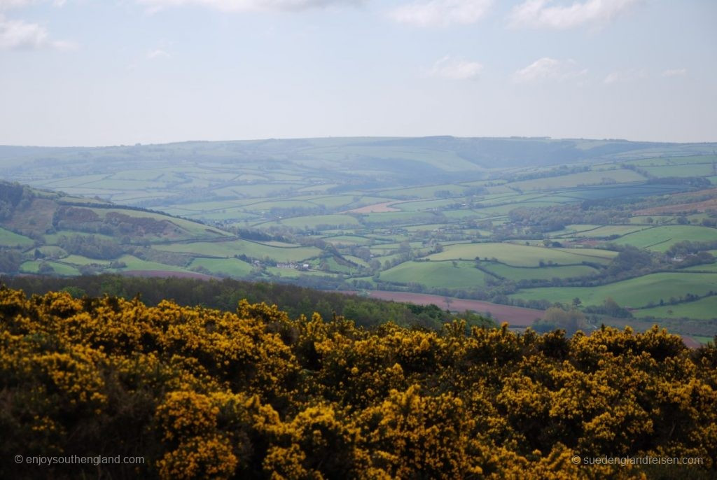 View to the south from Selworthy Beacon