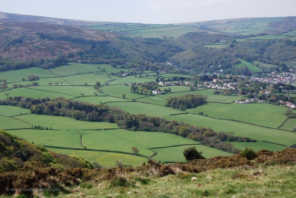 View to the south