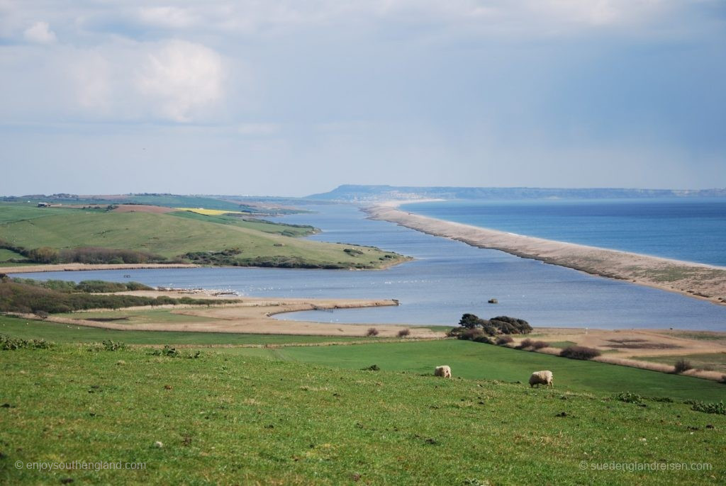 The Jurassic Coast (The Swannery is located in the middle on the left-hand side of the lagoon)