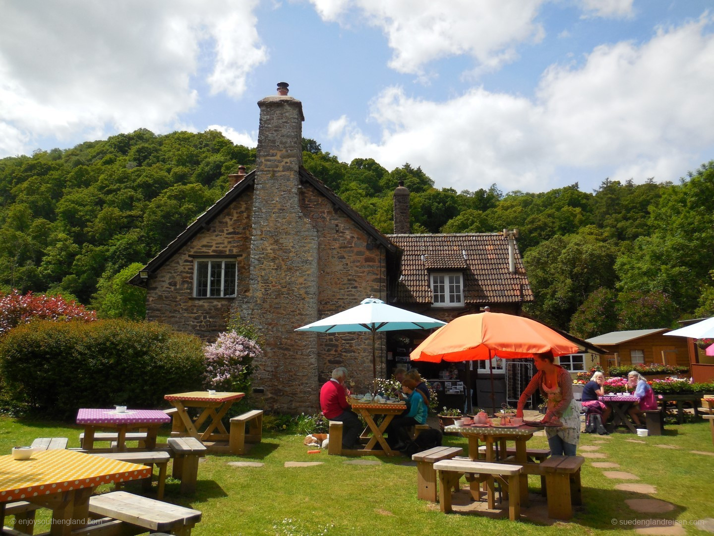 Tea Garden in Horner (Exmoor)