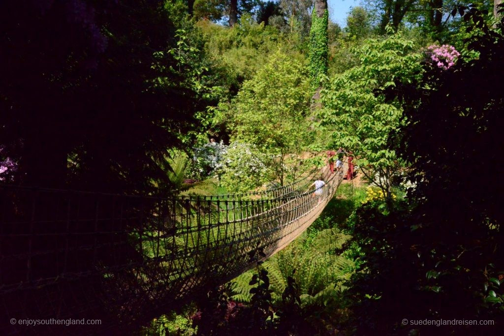 The bridge in the Jungle of the Lost Gardens of Heligan