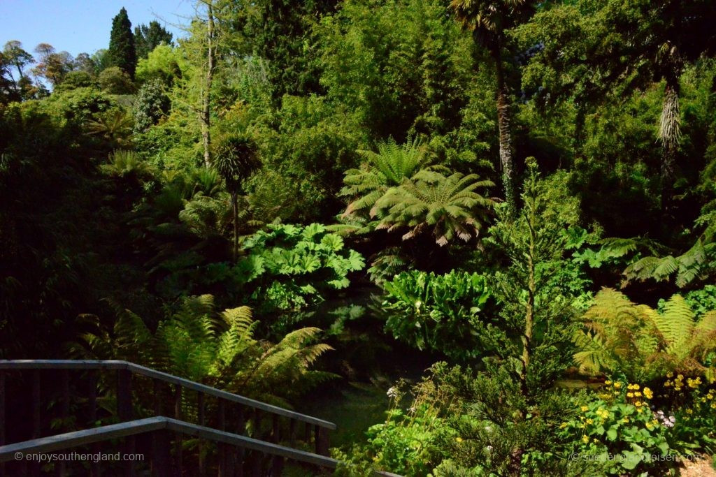 The Lost Gardens of Heligan in the deepest green