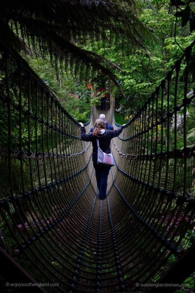 On the suspension bridge in the Lost Gardens of Heligan (Cornwall)
