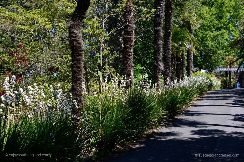 Even the way there captivates with Mediterranean plants 