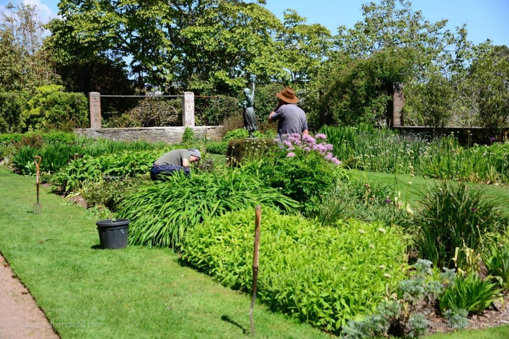 In Overbeck's Garden (Devon)